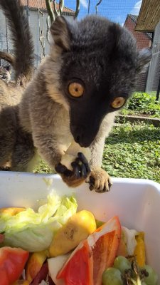 Minizoo — fotografie našich zvířat